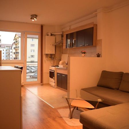 Apartament Alexandru Apartment Sibiu Bagian luar foto