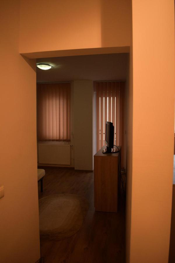 Apartament Alexandru Apartment Sibiu Bagian luar foto