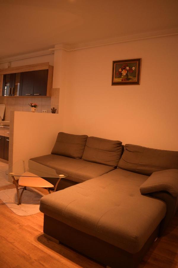 Apartament Alexandru Apartment Sibiu Bagian luar foto