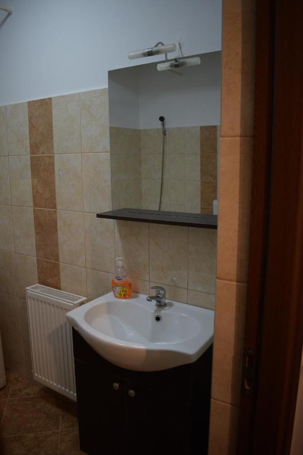 Apartament Alexandru Apartment Sibiu Bagian luar foto